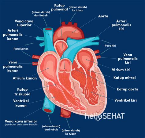 Tips menjaga kesehatan tubuh secara alami Penyakit Jantung Iskemik